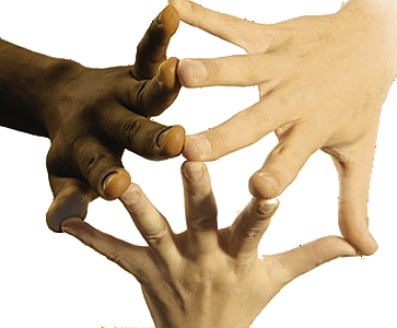 Alltime | Car Rental |Diversity